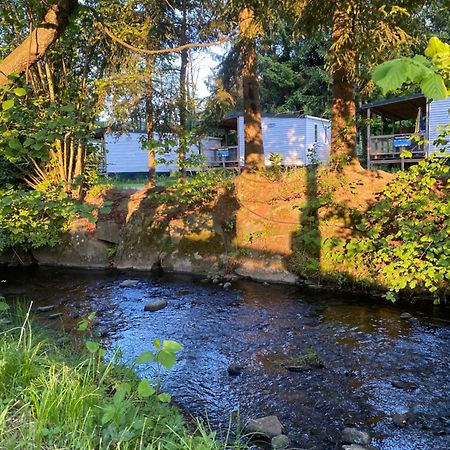 S-Chalet Camping Mit Comfort Im Schwarzwald Steinach  Экстерьер фото